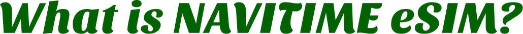 What is NAVITIME eSIM?